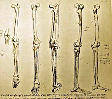 ダヴィンチ